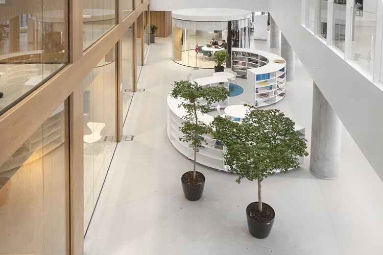 Virksomheds- biblioteker