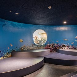 Hørsholm Bibliotek, Danmark