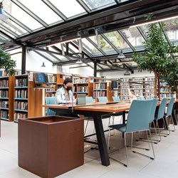 Planter og naturudsigt
