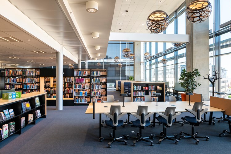 Akademiske biblioteker