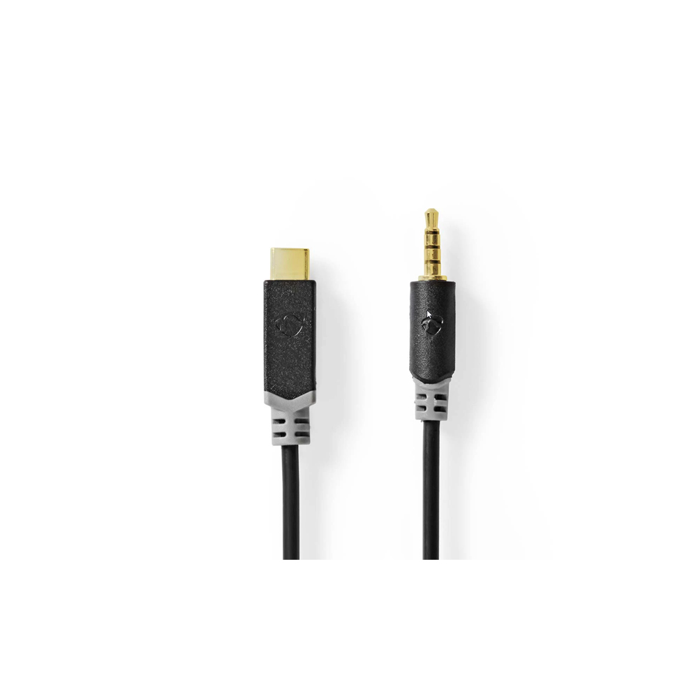 E3875 - Mini Jack til USB-C